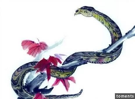 此生要一直辛苦賺錢的「勞碌生肖」，希望榜上沒你！