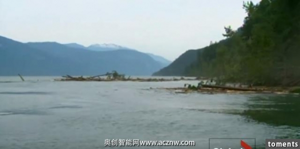 他們聽到森林中有樹被折斷的聲音接著令人恐怖的一幕就發生了
