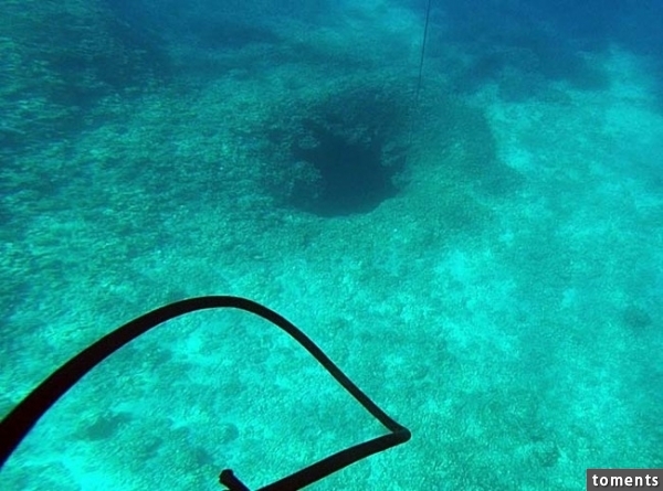 The pair died in early July of this year, but special divers weren't able to recover the bodies until late August.