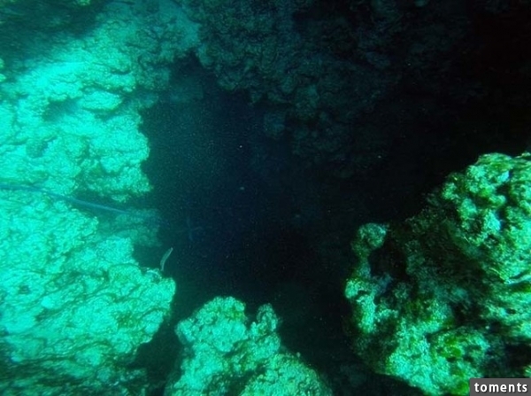 Although the entrance is narrow, the cave itself descends straight down for 115 feet.