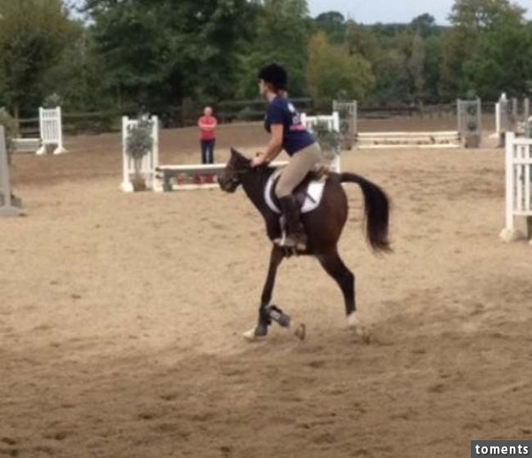 The little horse that could.