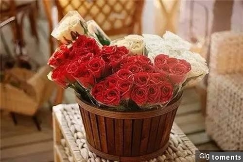 富人家給自己的啥子兒子買了個老婆，新婚第一夜老婆死活不讓他上床，沒想到後來傻子做了這件事，當晚老婆就和他圓房了！