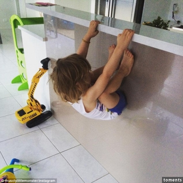 Mini Tarzan: Dash is extremely energetic and loves finding something to hang off or climb in the house