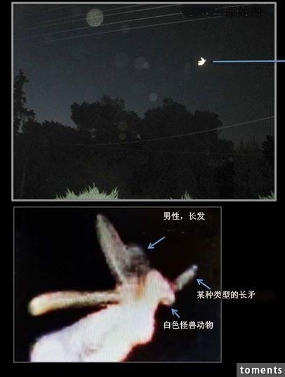 英國發現「小精靈」骨架,照片震驚全球!