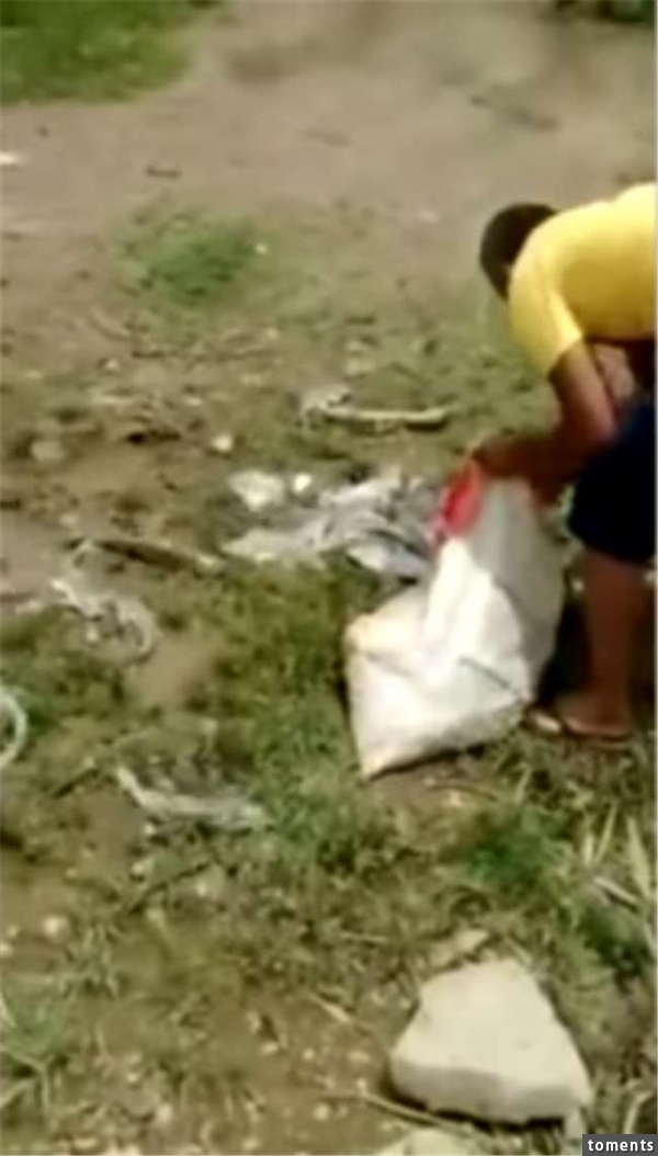 大夥竊笑男子沒帶釣竿就來​​捕魚，但是接下來的動作大家閉嘴了