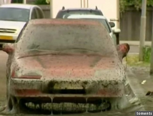 The owner of the red Honda came back on Monday to find his car was covered in what looked like spiderwebs. Talk about a nightmare, right?