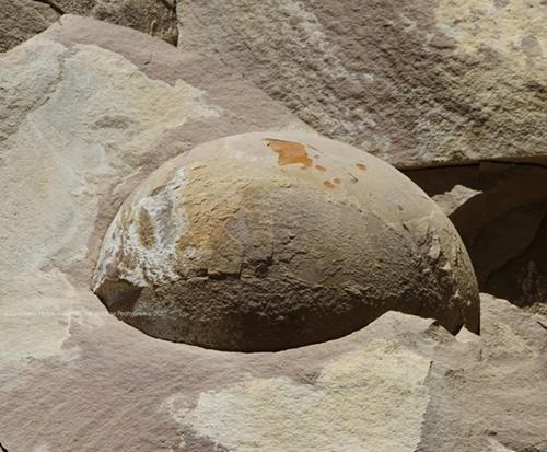 山上突降巨大石頭蛋，專家鑑定後發現隱藏數萬年的秘密！