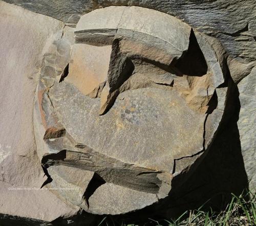 山上突降巨大石頭蛋，專家鑑定後發現隱藏數萬年的秘密！