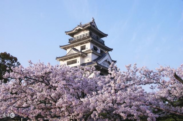 去日本旅遊可以買哪些好物？